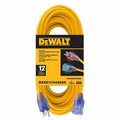 Century Wire & Cable 25' 123 Ext Cord DXEC17443025